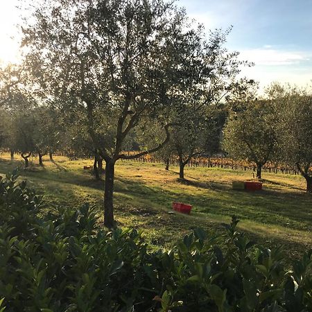 Il Villino Farmhouse カステッリーナ・イン・キアンティ シエナ エクステリア 写真